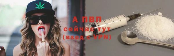 гашик Каменногорск