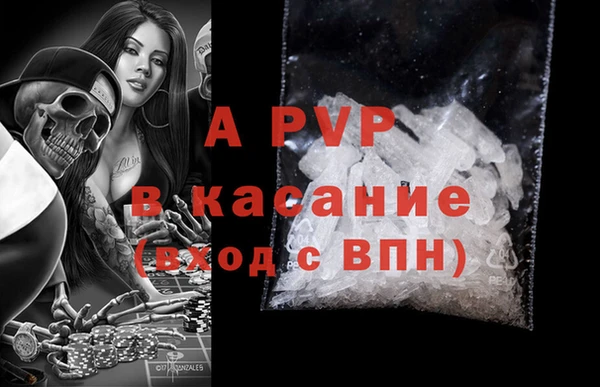 гашик Каменногорск