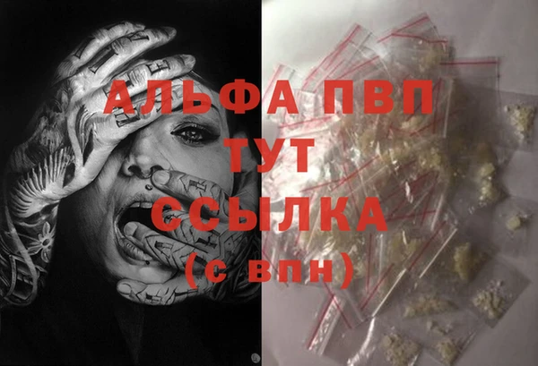 гашик Каменногорск
