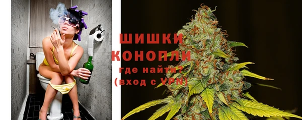 2c-b Каменка