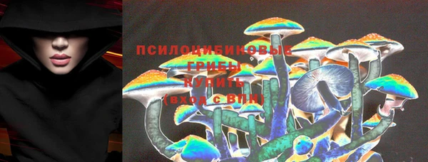 гашик Каменногорск