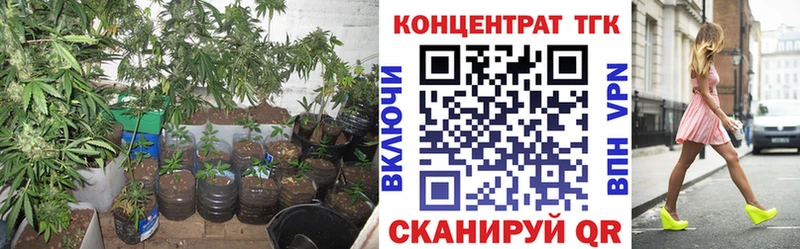 ТГК вейп с тгк Жиздра