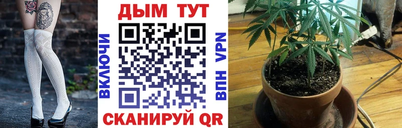 Марихуана гибрид Жиздра